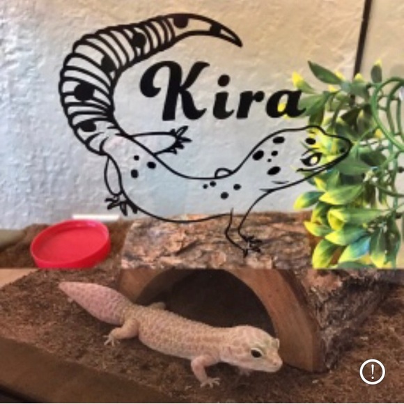 Meet your Posher, Danelle - Picture 7 of 8